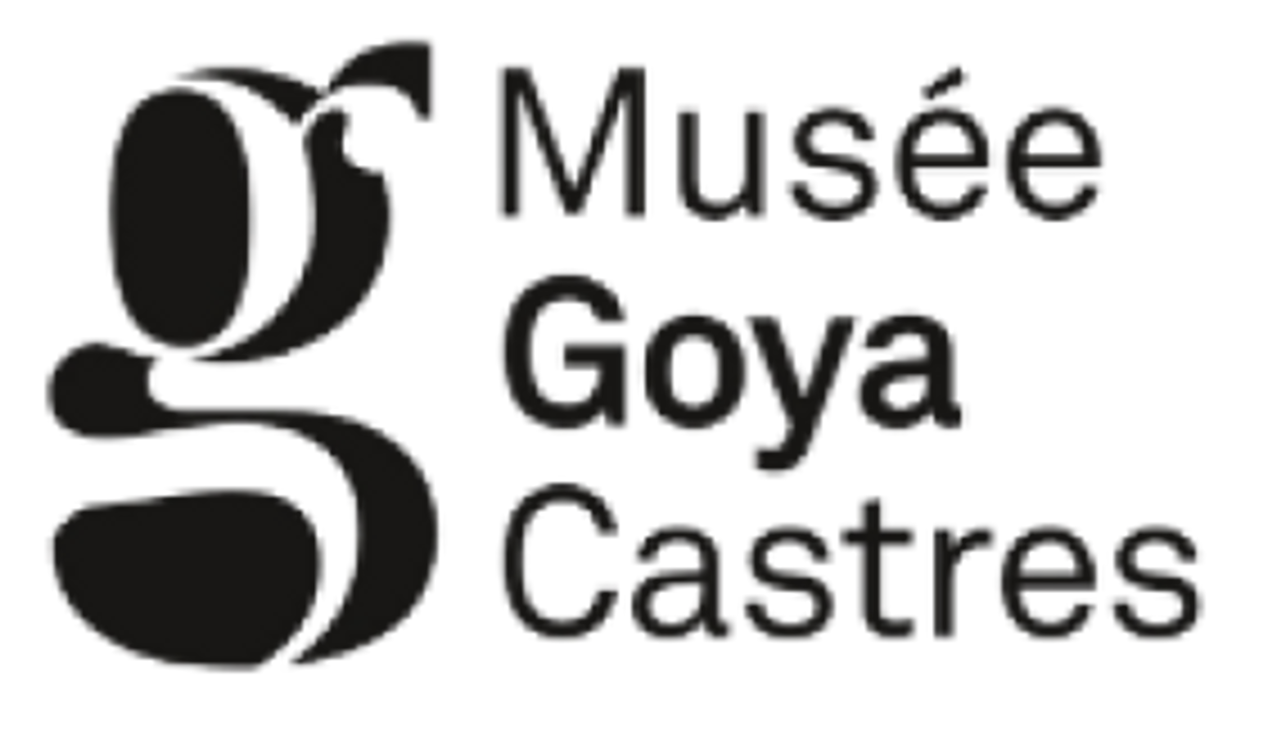Retour à l'accueil du site: Musée Goya
